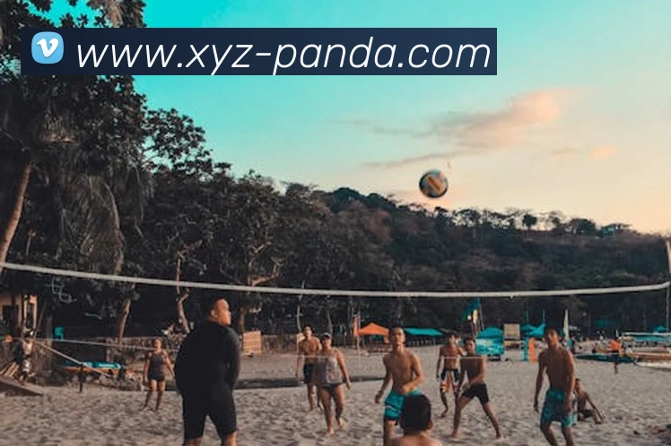 PANDA SPORTS品牌故事